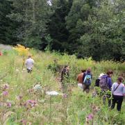 large_2. Copie – Photos Vosges – chez Lilian