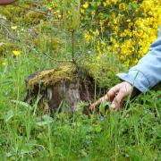 large_3. Copie – Photo – Souche, Eric – Formation Goudet, mai 2014