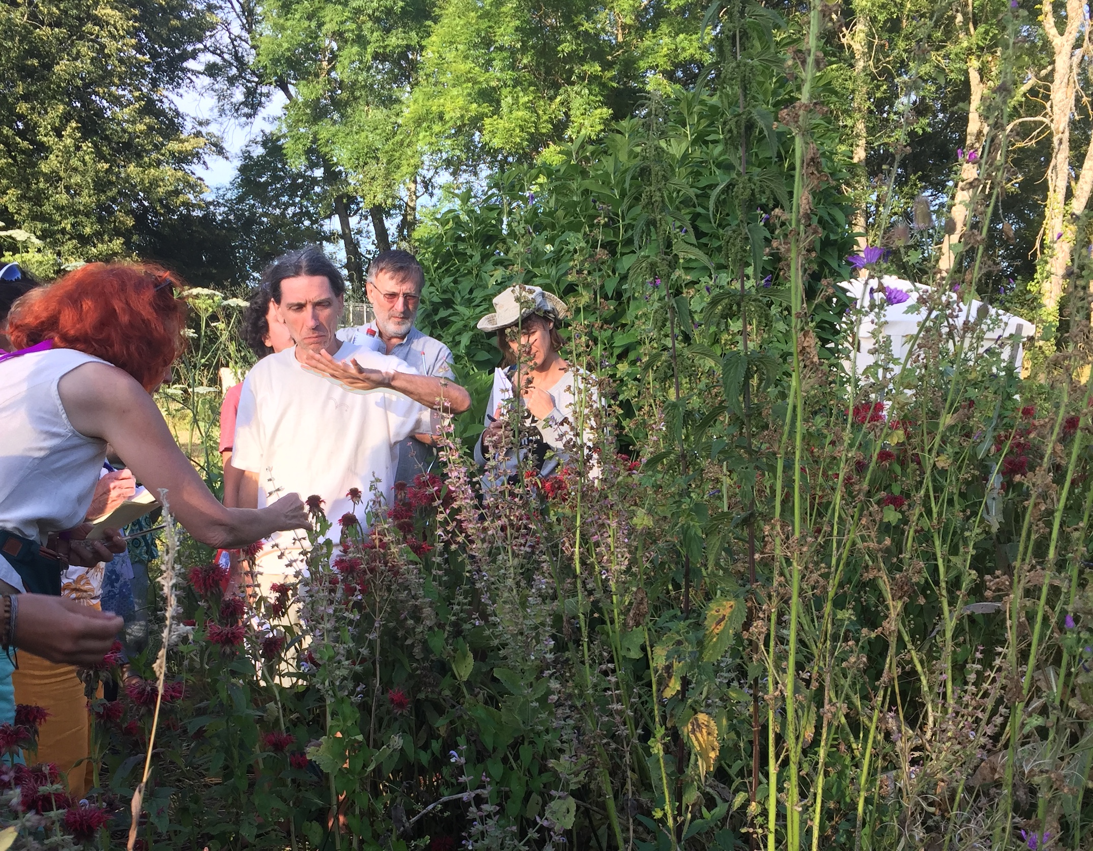 Eric Escoffier enseigne la botanique - Exercice en groupe à l'extérieur - Celon (2020)
