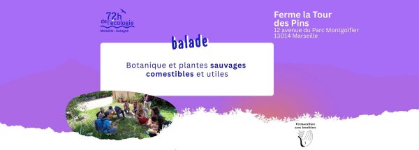 Balade botanique à la Tour des pins Marseille