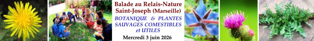 Inscription à la balade botanique du 3 juin après-midi à Marseille