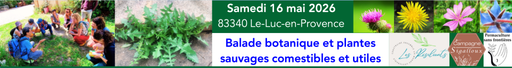 "BOTANIQUE & ESPÈCES COMESTIBLES ET UTILES" animée par Éric Escoffier. Toute la journée en extérieur.
